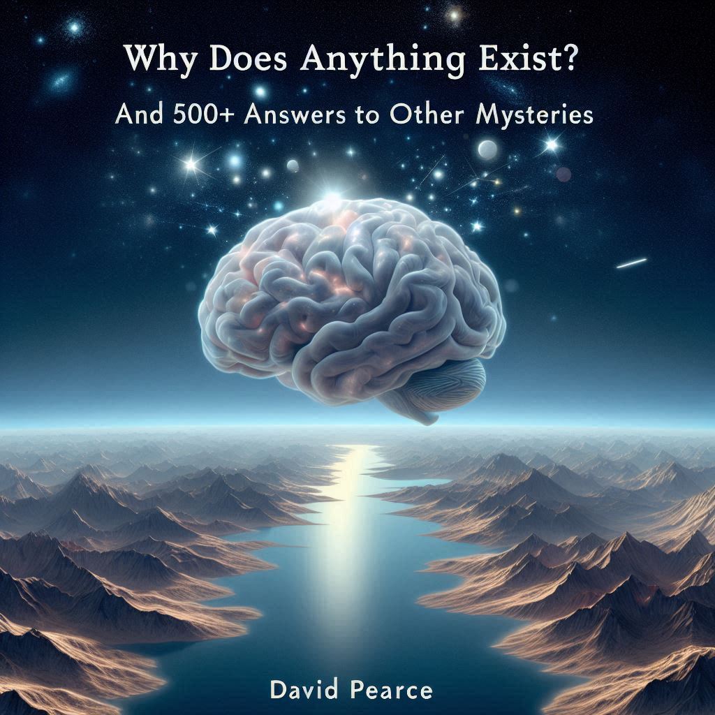 Why Does Anything Exist? by David Pearce